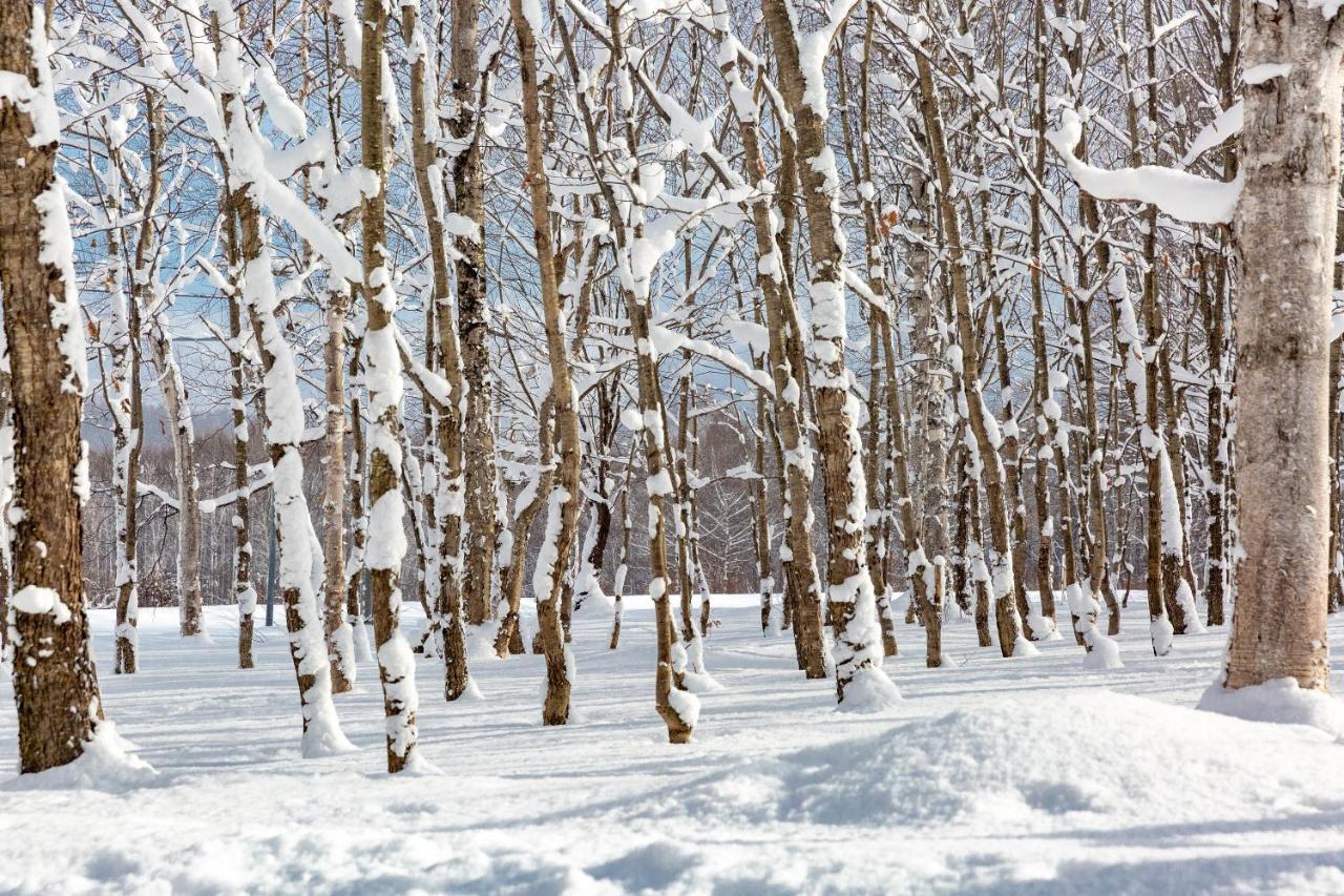 Andaru Collection Niseko Hotell Kutchan Exteriör bild